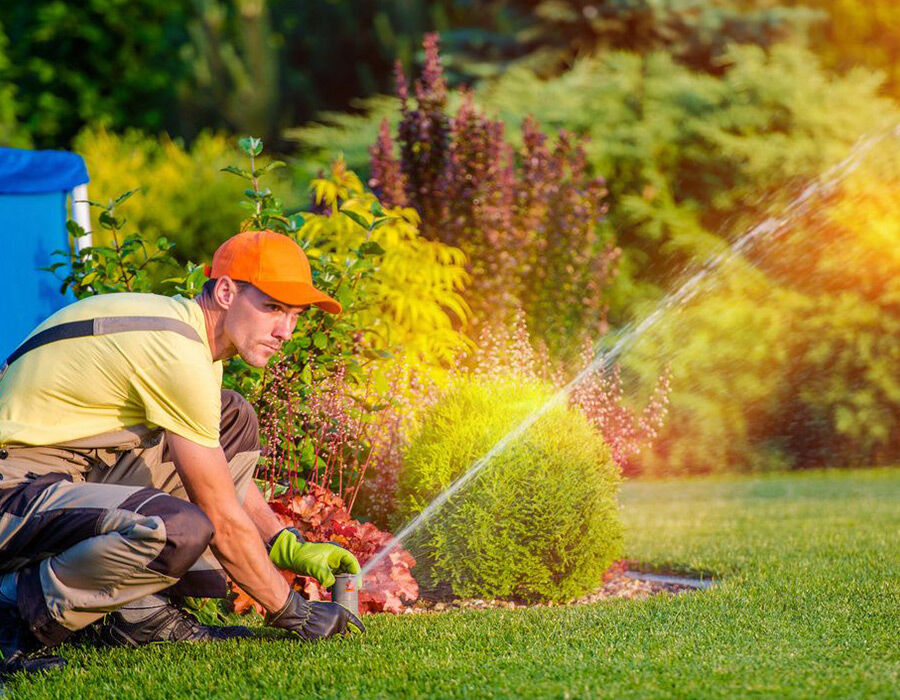 A man waters his garden plants with a hose on a sunny day.